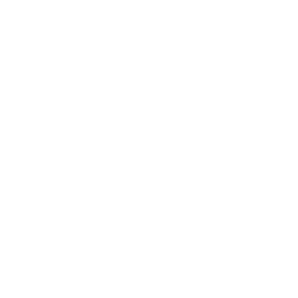 icon-01-1